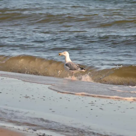 Haus Tanneck Whg 7 克伦胡森