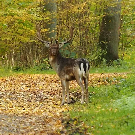 Haus Tanneck Whg 7 * 克伦胡森