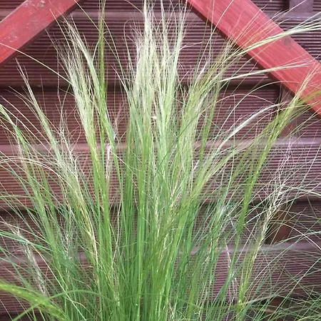 Haus Tanneck Whg 7 公寓 克伦胡森